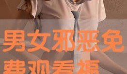 男女福利视频,男女福利差异视频深度解析